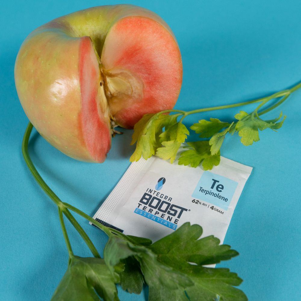 Integra Boost Terpene Essentials Terpinolen 4 g, 62%, 1 ks